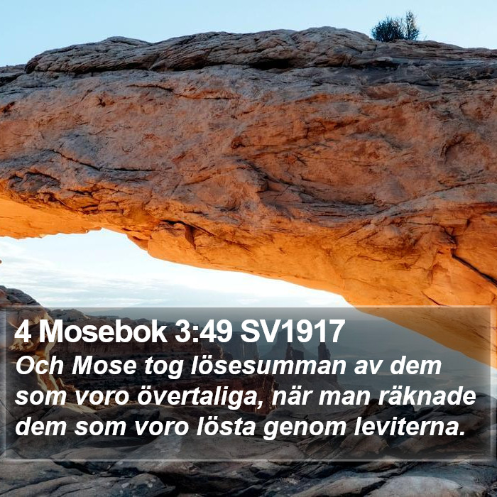 4 Mosebok 3:49 SV1917 Bible Study