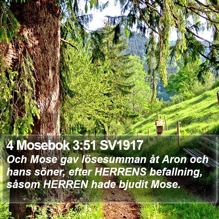 4 Mosebok 3:51 SV1917 Bible Study