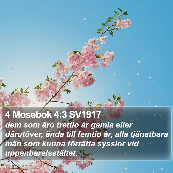 4 Mosebok 4:3 SV1917 Bible Study