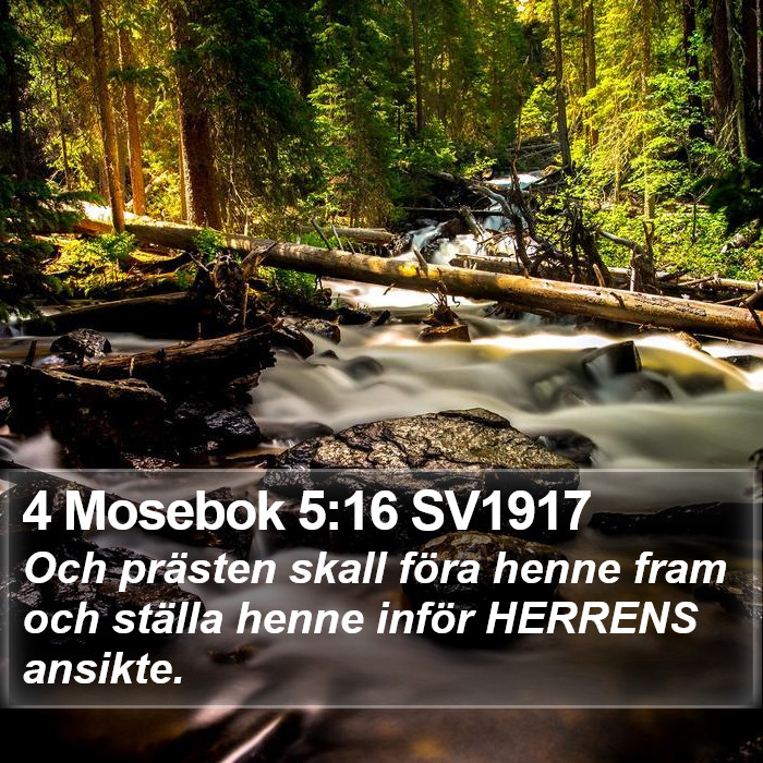 4 Mosebok 5:16 SV1917 Bible Study