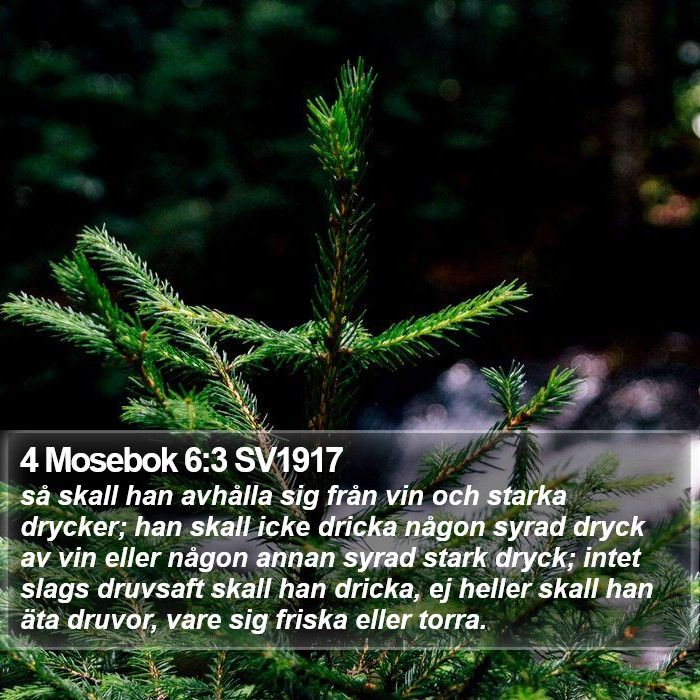 4 Mosebok 6:3 SV1917 Bible Study