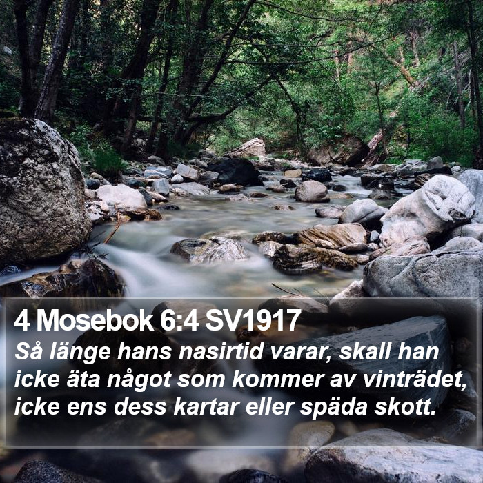 4 Mosebok 6:4 SV1917 Bible Study