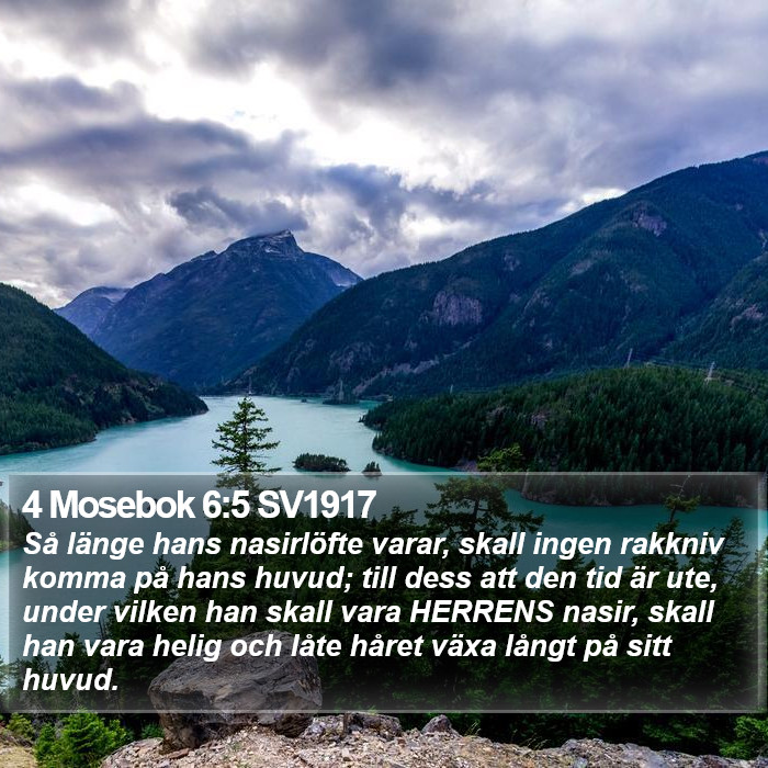 4 Mosebok 6:5 SV1917 Bible Study