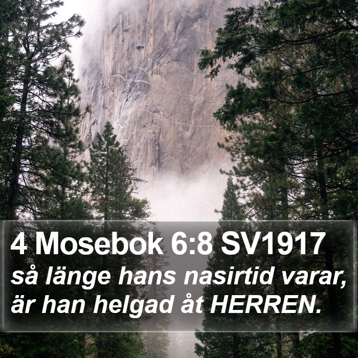 4 Mosebok 6:8 SV1917 Bible Study