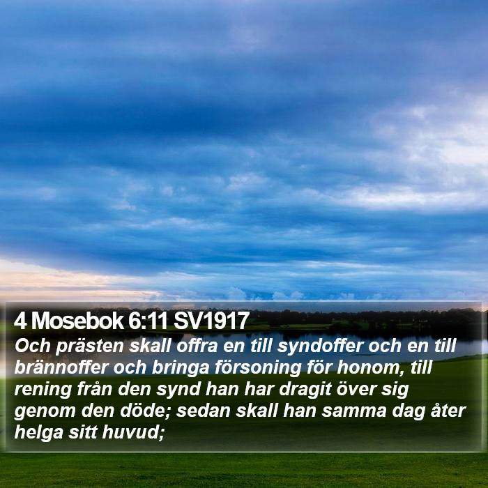 4 Mosebok 6:11 SV1917 Bible Study