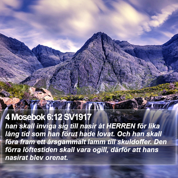 4 Mosebok 6:12 SV1917 Bible Study