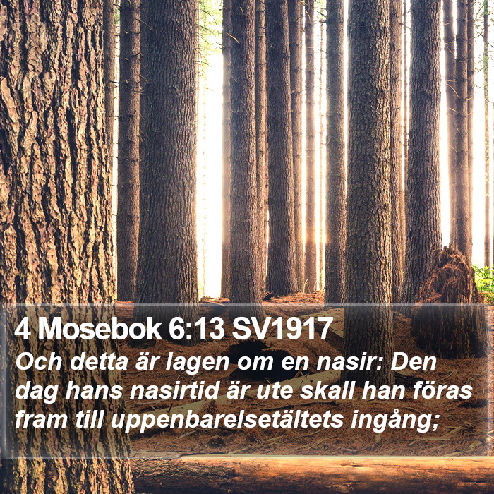 4 Mosebok 6:13 SV1917 Bible Study