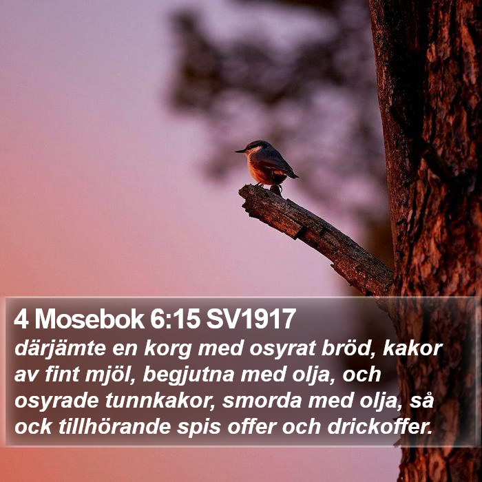 4 Mosebok 6:15 SV1917 Bible Study