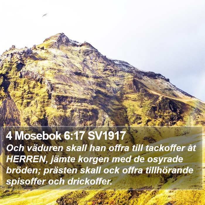 4 Mosebok 6:17 SV1917 Bible Study