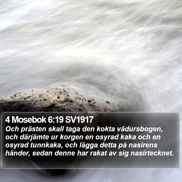 4 Mosebok 6:19 SV1917 Bible Study