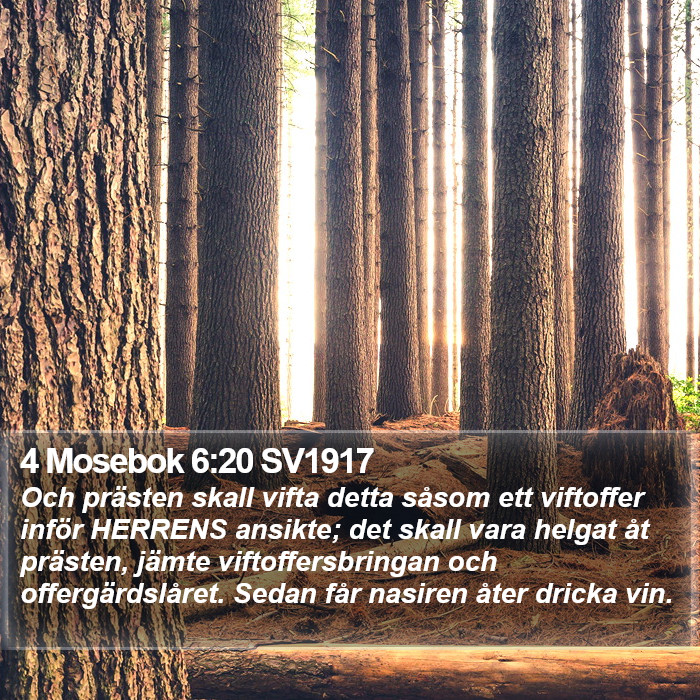 4 Mosebok 6:20 SV1917 Bible Study