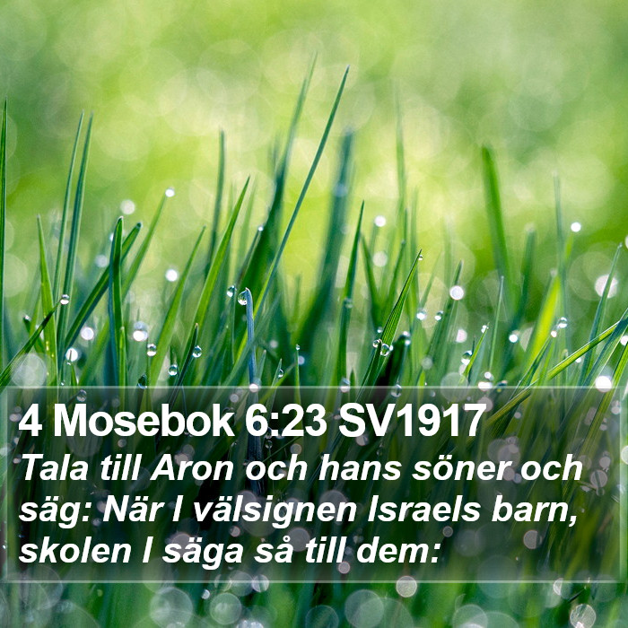 4 Mosebok 6:23 SV1917 Bible Study