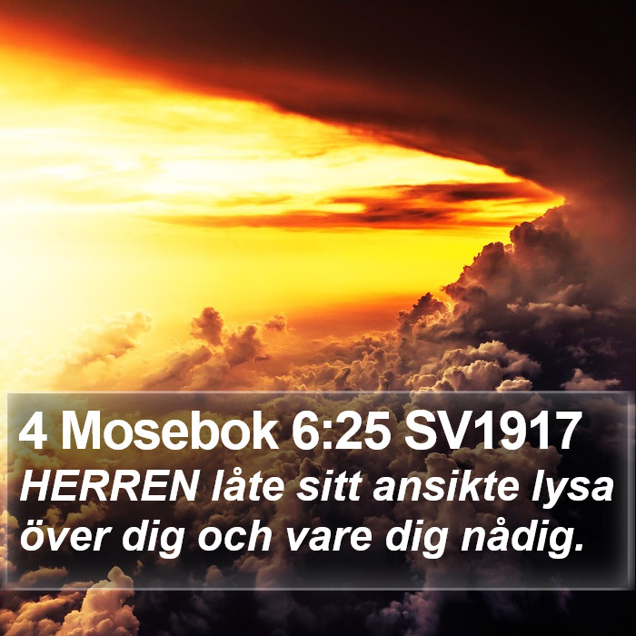 4 Mosebok 6:25 SV1917 Bible Study