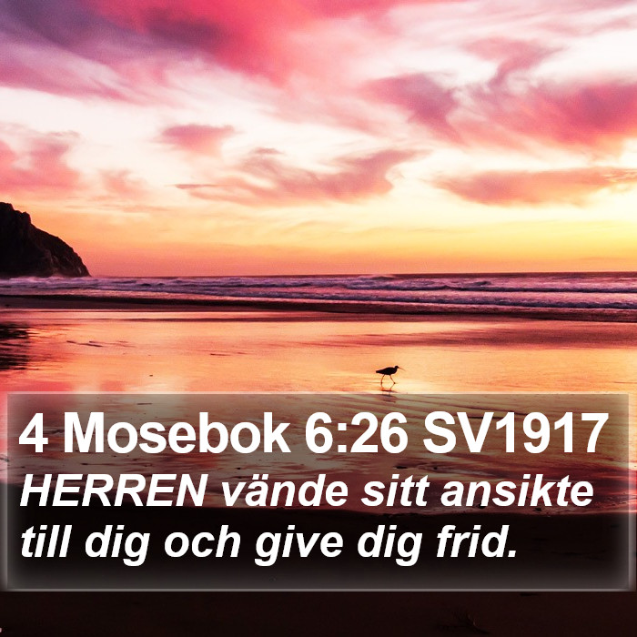 4 Mosebok 6:26 SV1917 Bible Study