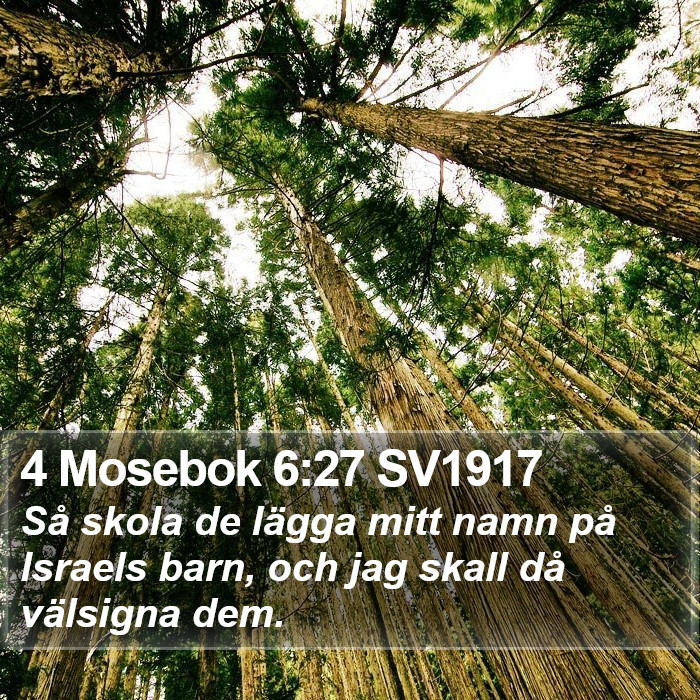 4 Mosebok 6:27 SV1917 Bible Study