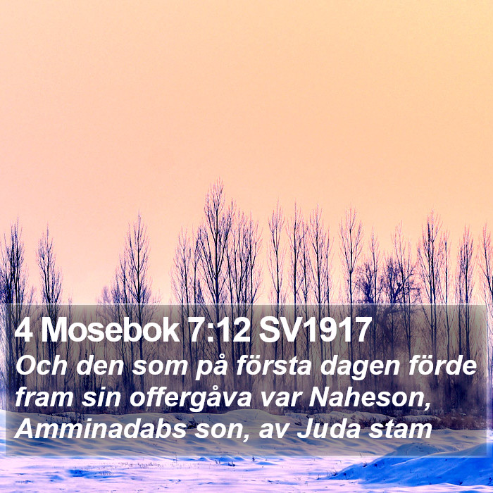 4 Mosebok 7:12 SV1917 Bible Study