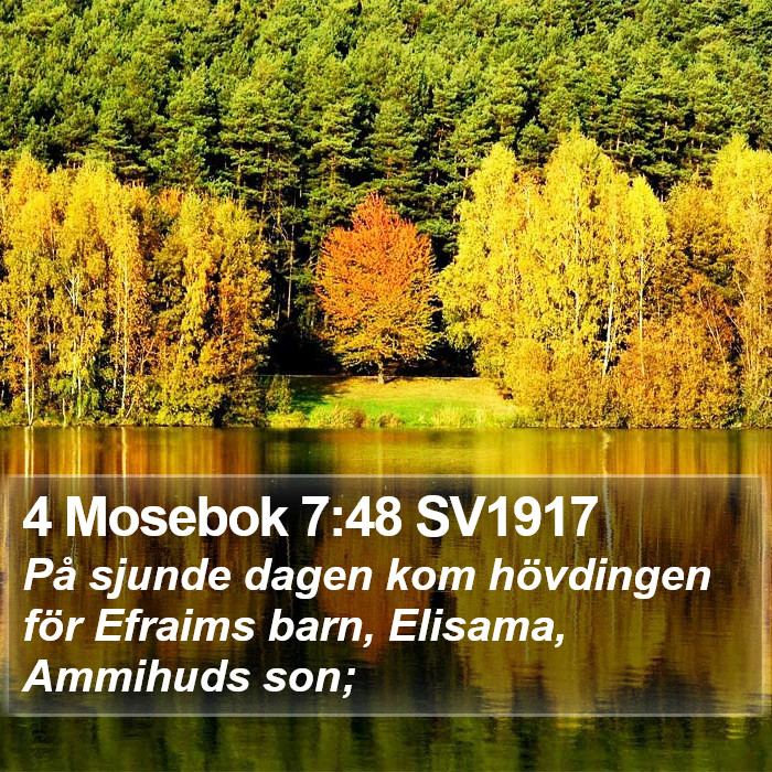 4 Mosebok 7:48 SV1917 Bible Study