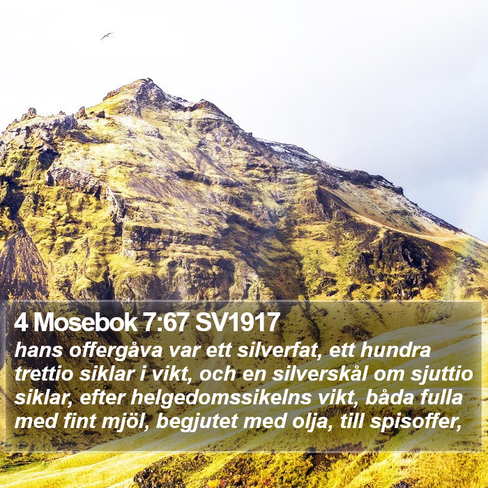 4 Mosebok 7:67 SV1917 Bible Study
