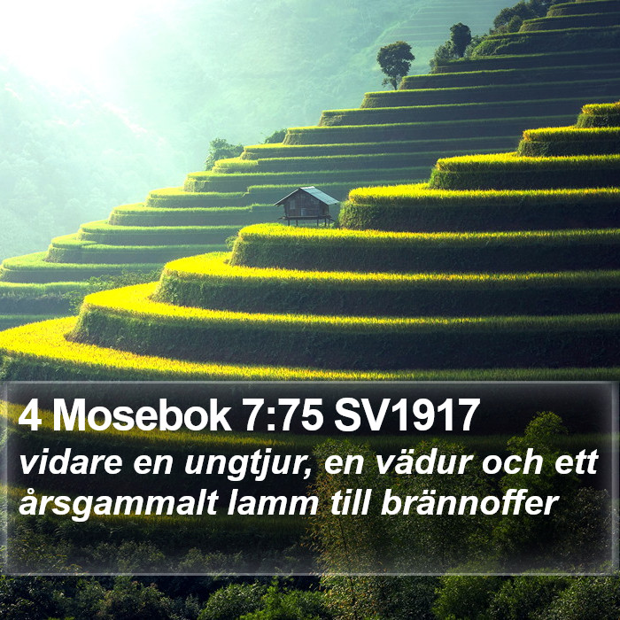 4 Mosebok 7:75 SV1917 Bible Study