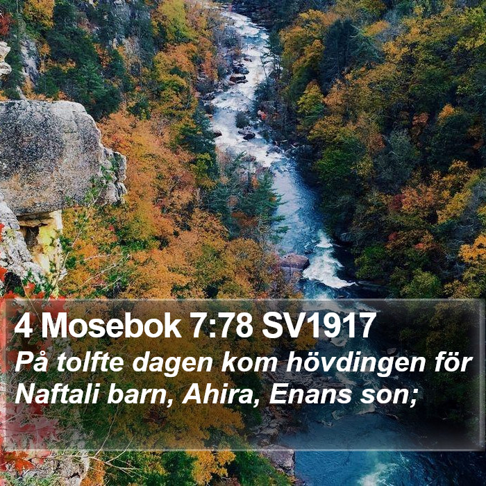 4 Mosebok 7:78 SV1917 Bible Study