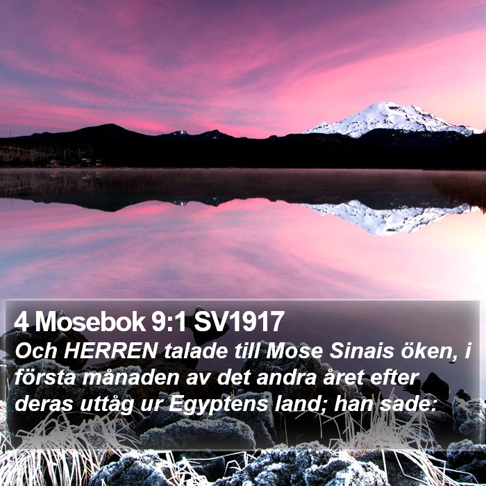 4 Mosebok 9:1 SV1917 Bible Study