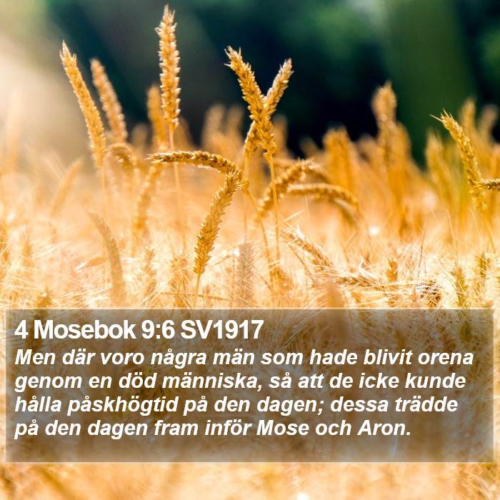 4 Mosebok 9:6 SV1917 Bible Study