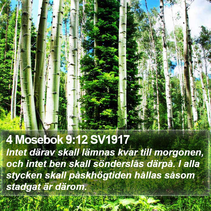 4 Mosebok 9:12 SV1917 Bible Study