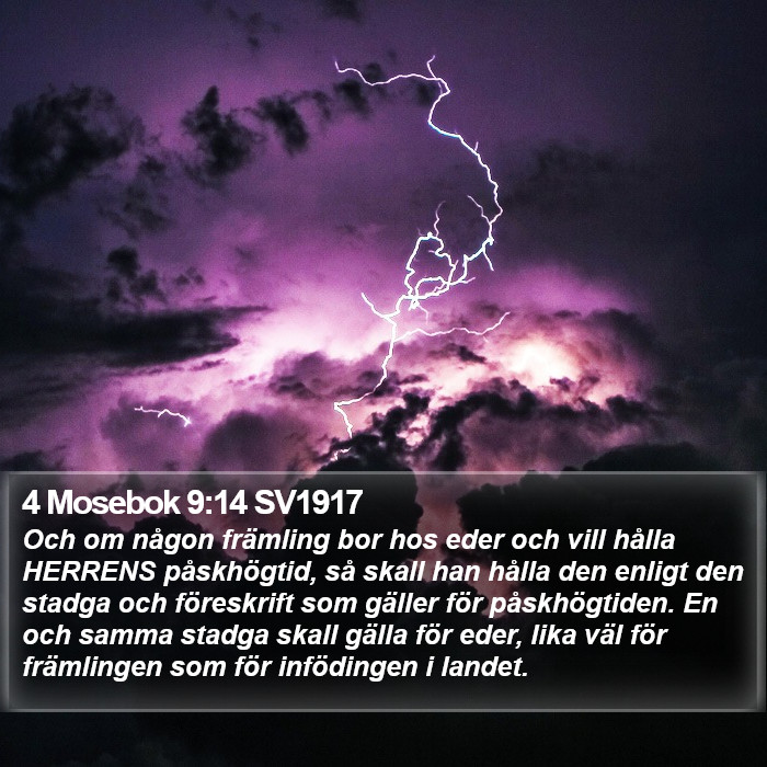 4 Mosebok 9:14 SV1917 Bible Study