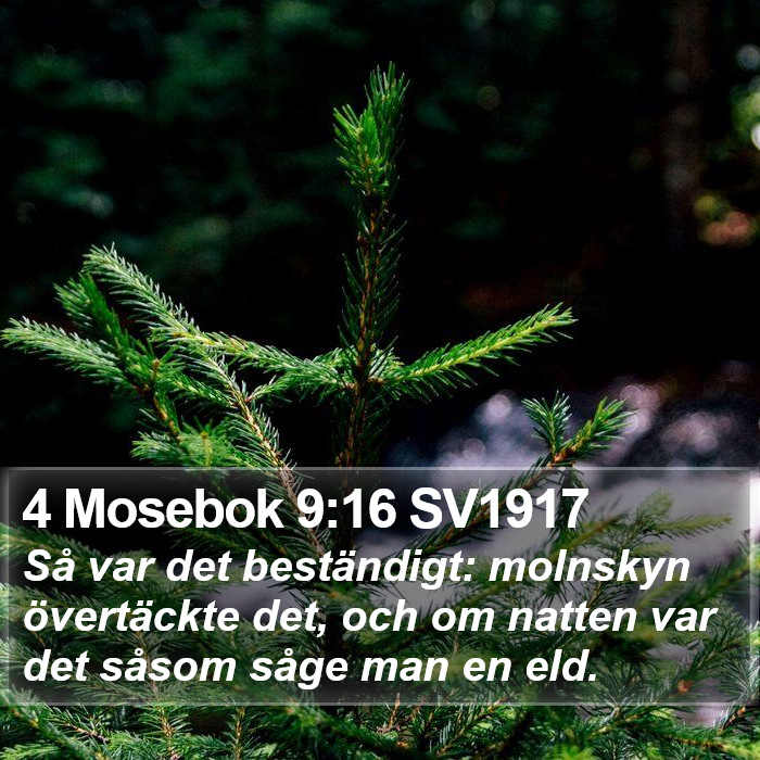 4 Mosebok 9:16 SV1917 Bible Study