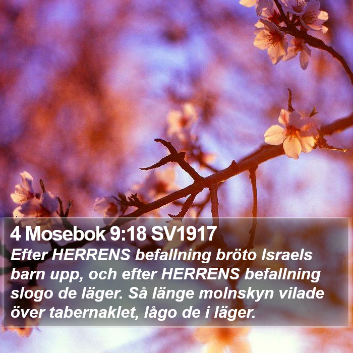 4 Mosebok 9:18 SV1917 Bible Study