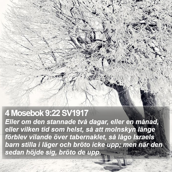 4 Mosebok 9:22 SV1917 Bible Study