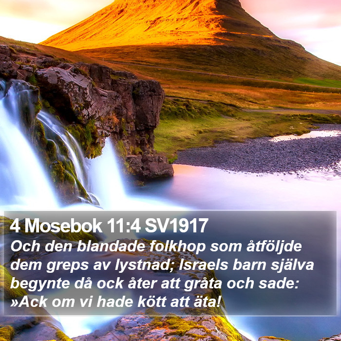 4 Mosebok 11:4 SV1917 Bible Study