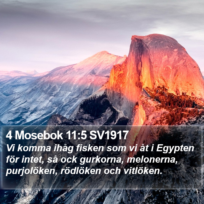 4 Mosebok 11:5 SV1917 Bible Study