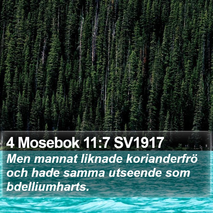 4 Mosebok 11:7 SV1917 Bible Study
