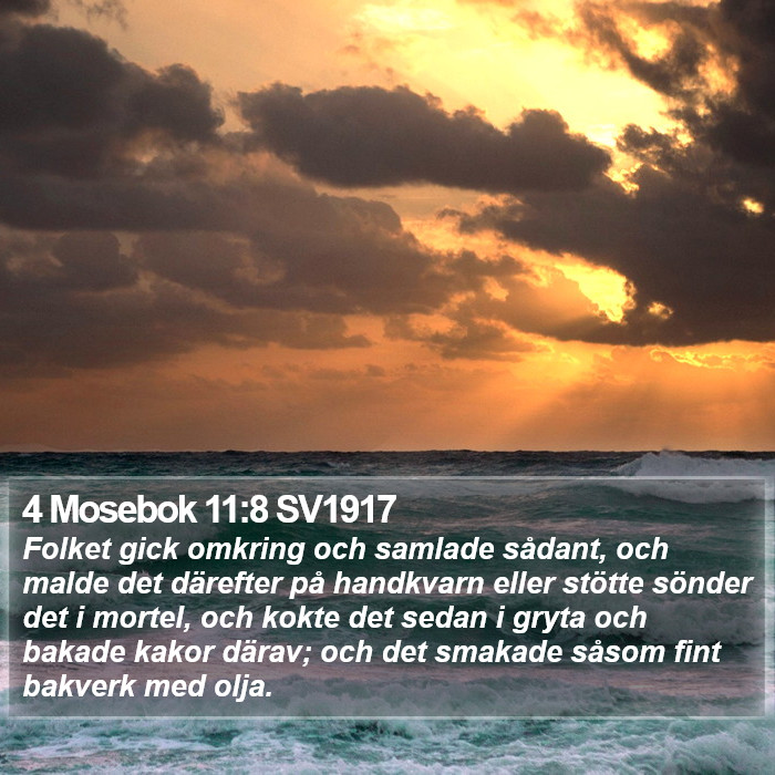 4 Mosebok 11:8 SV1917 Bible Study