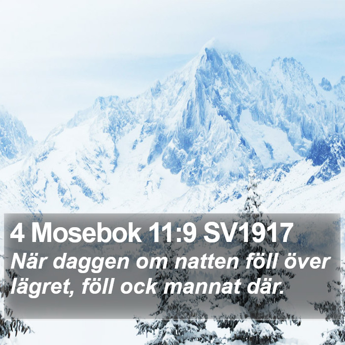 4 Mosebok 11:9 SV1917 Bible Study