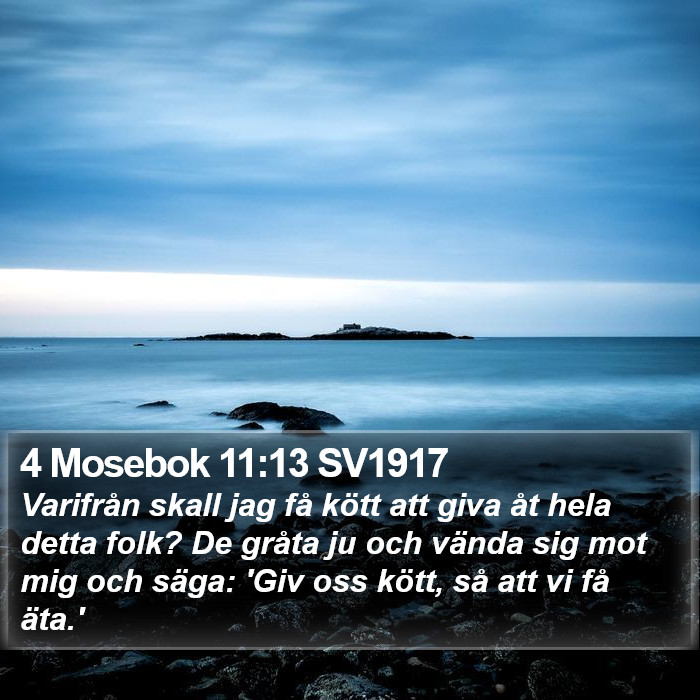 4 Mosebok 11:13 SV1917 Bible Study