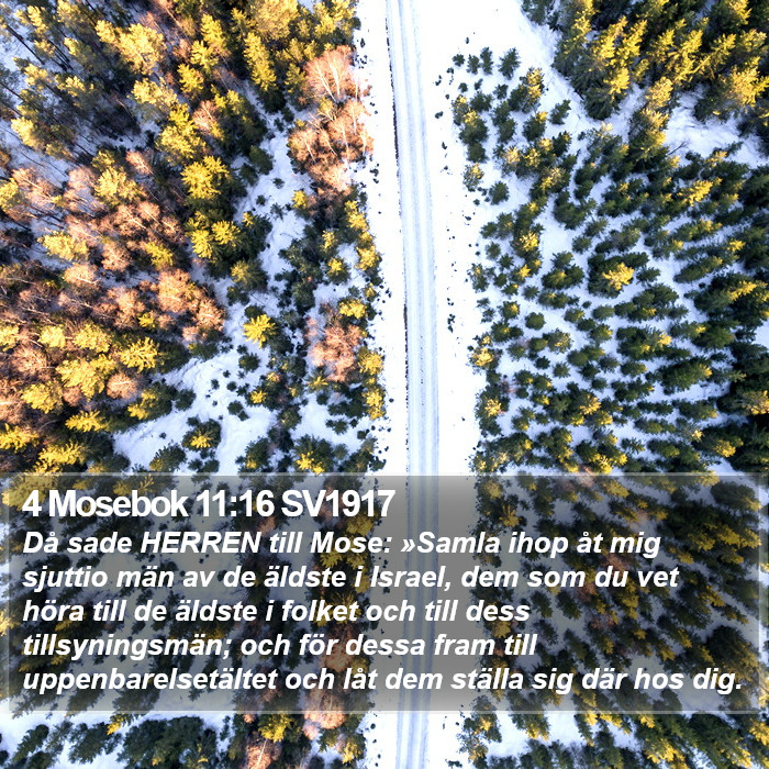 4 Mosebok 11:16 SV1917 Bible Study