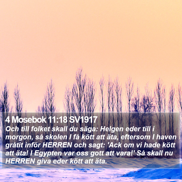 4 Mosebok 11:18 SV1917 Bible Study