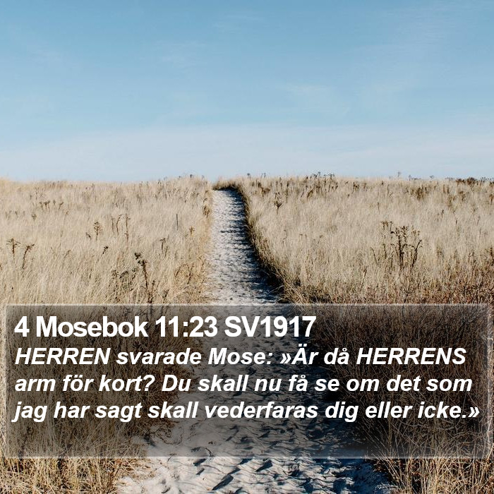 4 Mosebok 11:23 SV1917 Bible Study