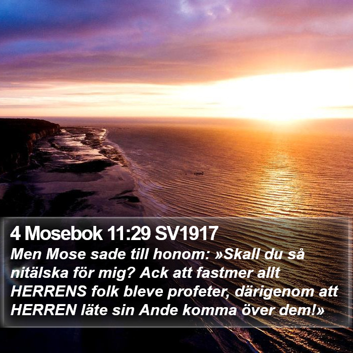 4 Mosebok 11:29 SV1917 Bible Study
