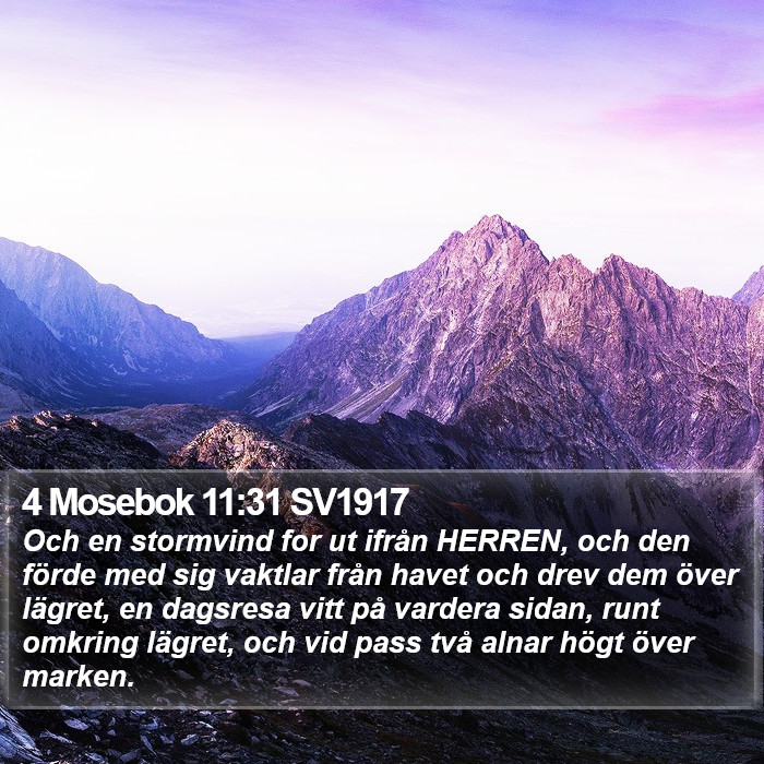 4 Mosebok 11:31 SV1917 Bible Study