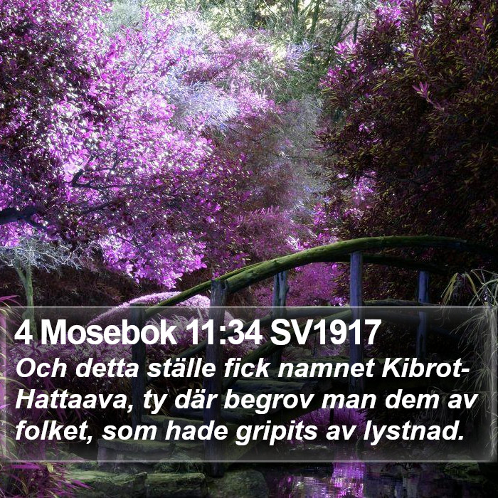 4 Mosebok 11:34 SV1917 Bible Study