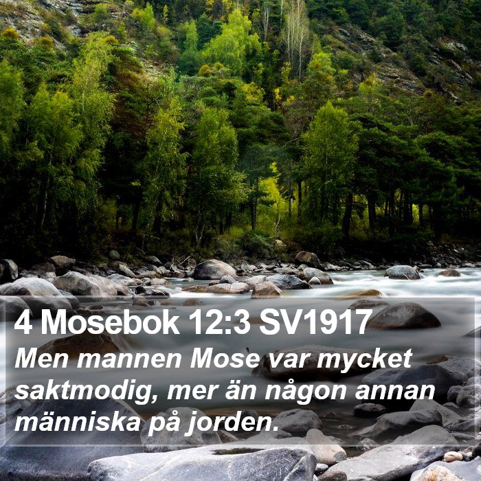 4 Mosebok 12:3 SV1917 Bible Study