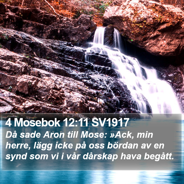 4 Mosebok 12:11 SV1917 Bible Study