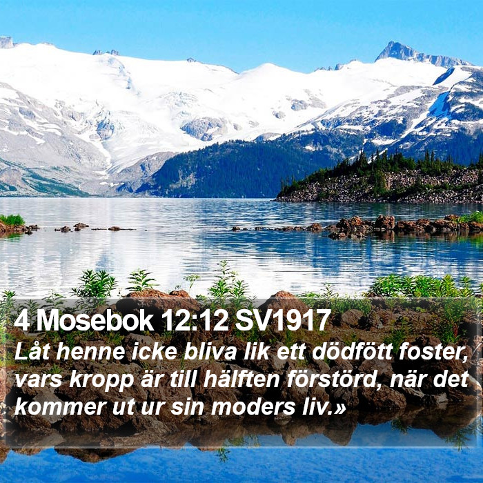 4 Mosebok 12:12 SV1917 Bible Study