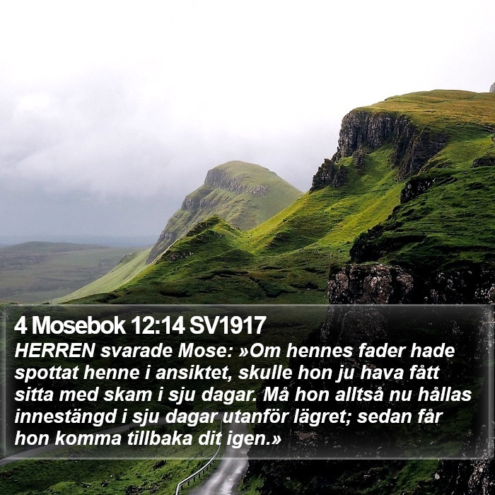 4 Mosebok 12:14 SV1917 Bible Study