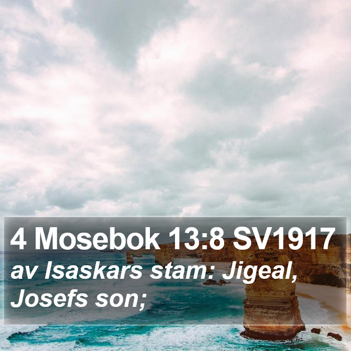 4 Mosebok 13:8 SV1917 Bible Study