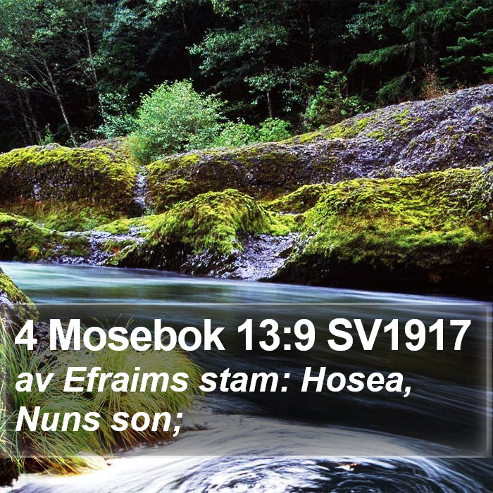 4 Mosebok 13:9 SV1917 Bible Study