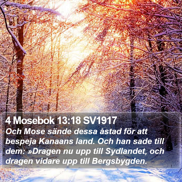 4 Mosebok 13:18 SV1917 Bible Study